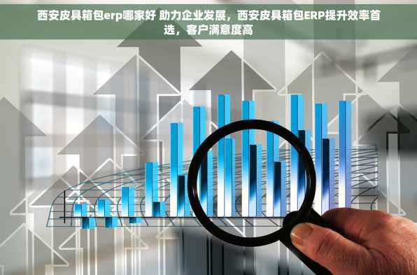 西安皮具箱包erp哪家好 助力企业发展，西安皮具箱包ERP提升效率首选，客户满意度高