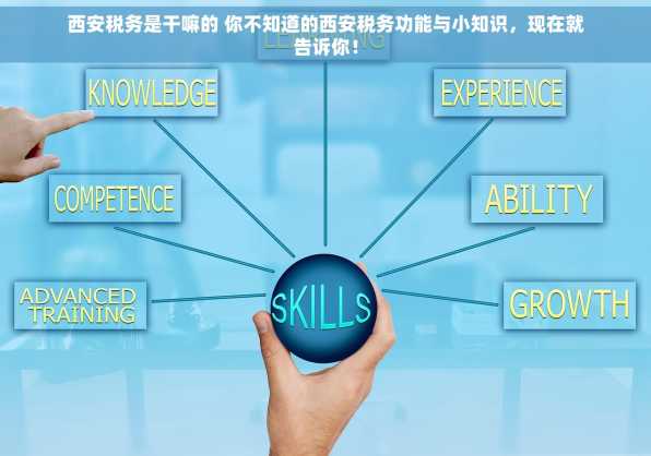 西安税务是干嘛的 你不知道的西安税务功能与小知识，现在就告诉你！