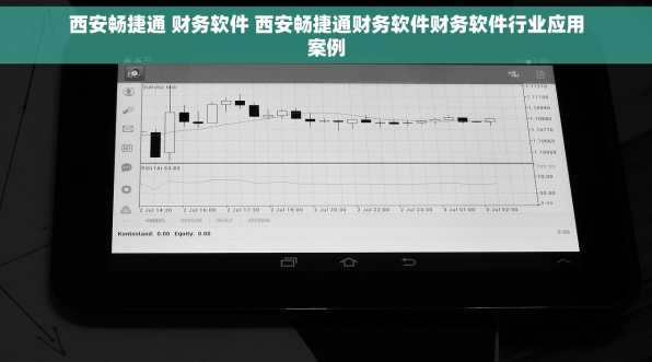 西安畅捷通 财务软件 西安畅捷通财务软件财务软件行业应用案例