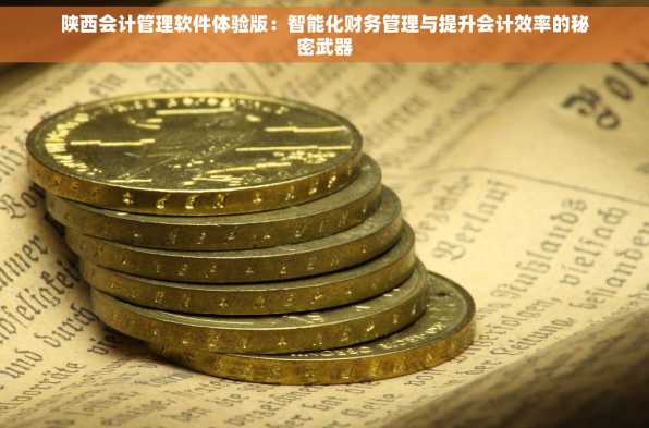 陕西会计管理软件体验版：智能化财务管理与提升会计效率的秘密武器