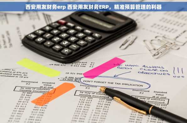 西安用友财务erp 西安用友财务ERP，精准预算管理的利器