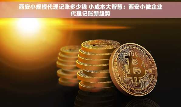 西安小规模代理记账多少钱 小成本大智慧：西安小微企业代理记账新趋势