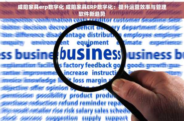 咸阳家具erp数字化 咸阳家具ERP数字化：提升运营效率与管理软件新趋势