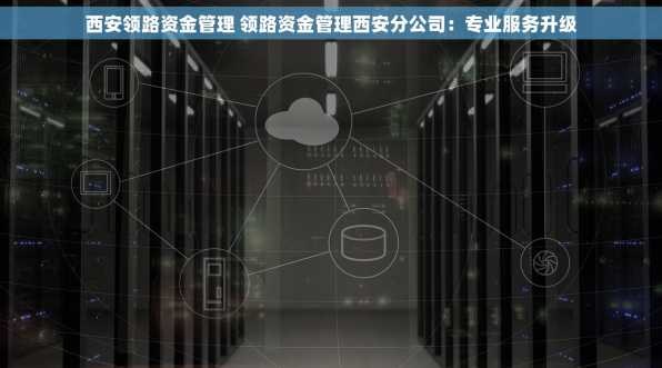 西安领路资金管理 领路资金管理西安分公司：专业服务升级