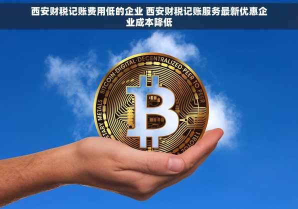 西安财税记账费用低的企业 西安财税记账服务最新优惠企业成本降低