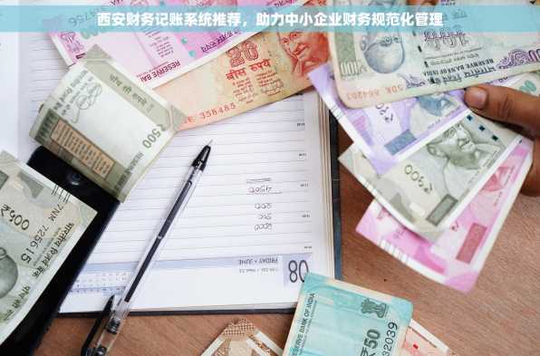西安财务记账系统推荐，助力中小企业财务规范化管理