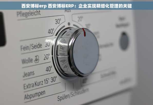 西安博标erp 西安博标ERP：企业实现精细化管理的关键