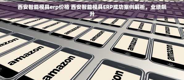 西安智能模具erp价格 西安智能模具ERP成功案例解析，业绩飙升