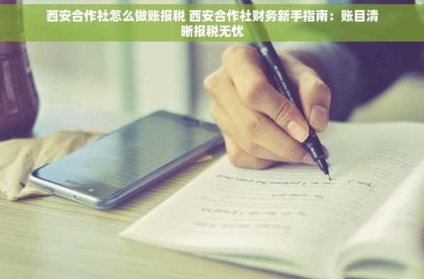 西安合作社怎么做账报税 西安合作社财务新手指南：账目清晰报税无忧