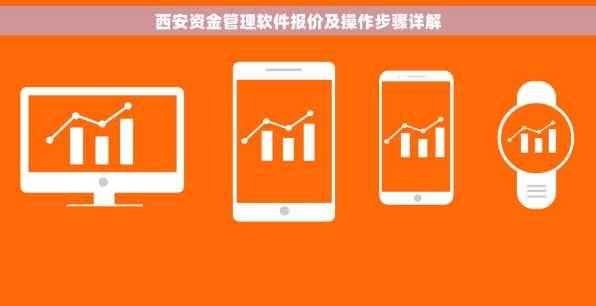 西安资金管理软件报价及操作步骤详解