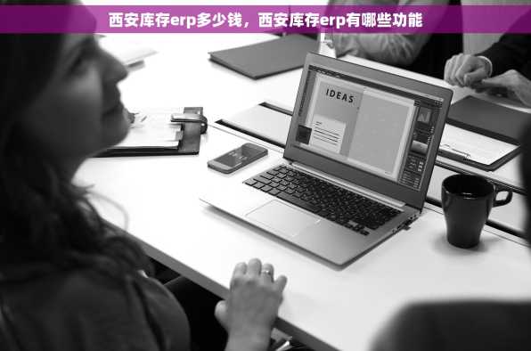 西安库存erp多少钱，西安库存erp有哪些功能