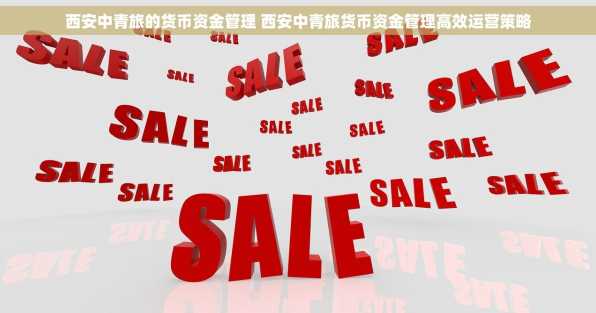 西安中青旅的货币资金管理 西安中青旅货币资金管理高效运营策略
