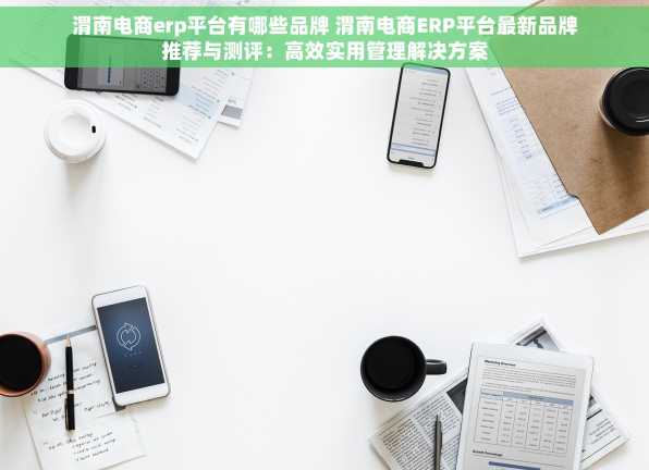 渭南电商erp平台有哪些品牌 渭南电商ERP平台最新品牌推荐与测评：高效实用管理解决方案