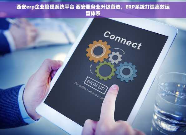 西安erp企业管理系统平台 西安服务业升级首选，ERP系统打造高效运营体系