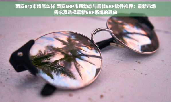 西安erp市场怎么样 西安ERP市场动态与最佳ERP软件推荐：最新市场需求及选择最新ERP系统的理由