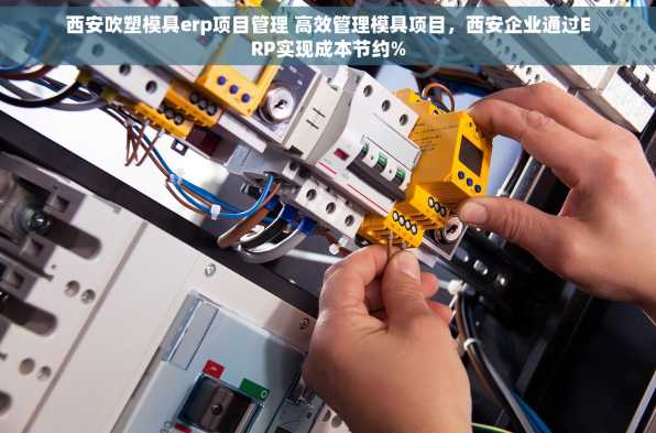 西安吹塑模具erp项目管理 高效管理模具项目，西安企业通过ERP实现成本节约%