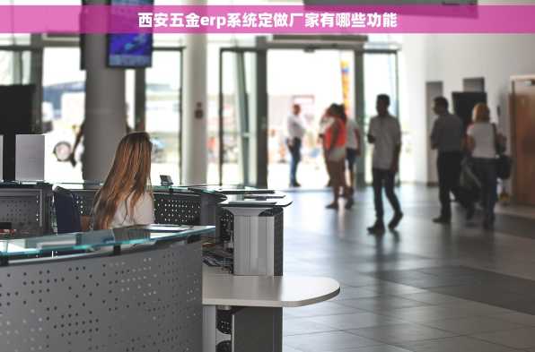 西安五金erp系统定做厂家有哪些功能