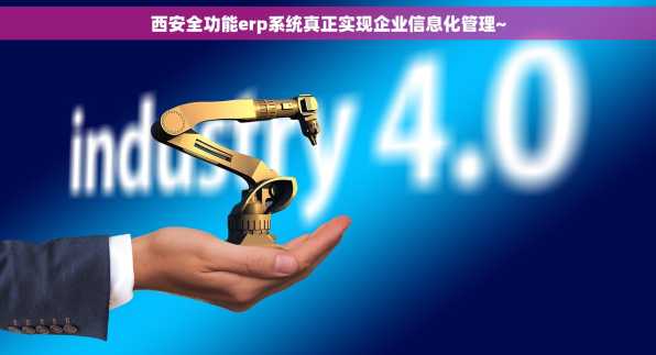 西安全功能erp系统真正实现企业信息化管理~