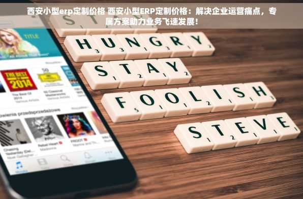 西安小型erp定制价格 西安小型ERP定制价格：解决企业运营痛点，专属方案助力业务飞速发展！