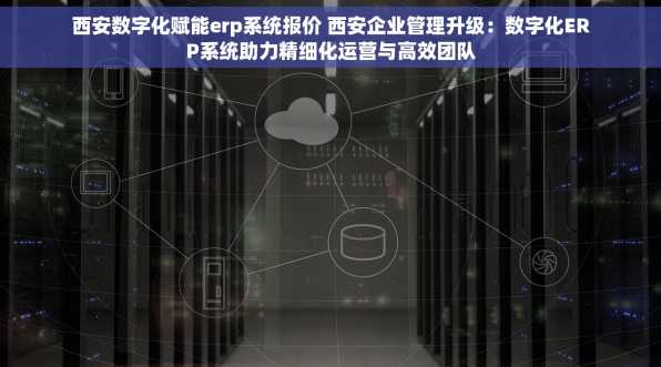 西安数字化赋能erp系统报价 西安企业管理升级：数字化ERP系统助力精细化运营与高效团队