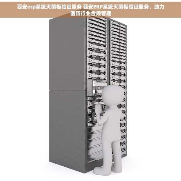 西安erp系统灭菌柜验证服务 西安ERP系统灭菌柜验证服务，助力医药行业合规管理