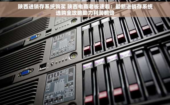 陕西进销存系统购买 陕西电商老板速看：最新进销存系统选购全攻略助力利润翻倍