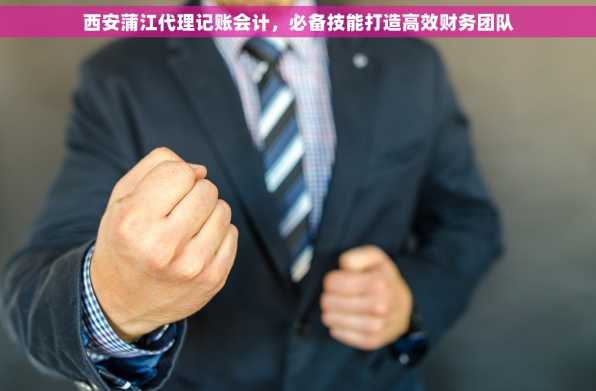 西安蒲江代理记账会计，必备技能打造高效财务团队