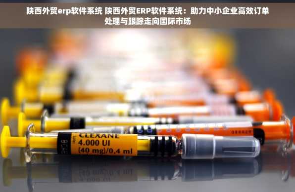陕西外贸erp软件系统 陕西外贸ERP软件系统：助力中小企业高效订单处理与跟踪走向国际市场