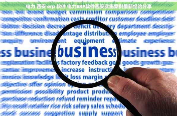 电力 西安 erp 软件 电力ERP软件西安实施案例最新经验分享