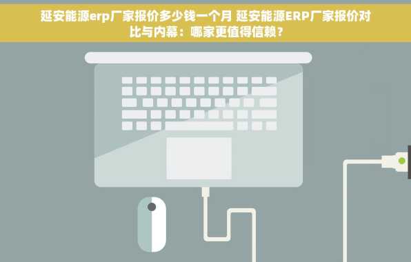 延安能源erp厂家报价多少钱一个月 延安能源ERP厂家报价对比与内幕：哪家更值得信赖？