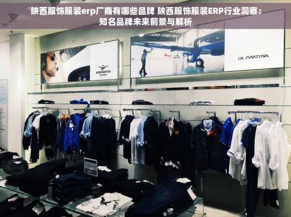 陕西服饰服装erp厂商有哪些品牌 陕西服饰服装ERP行业洞察：知名品牌未来前景与解析