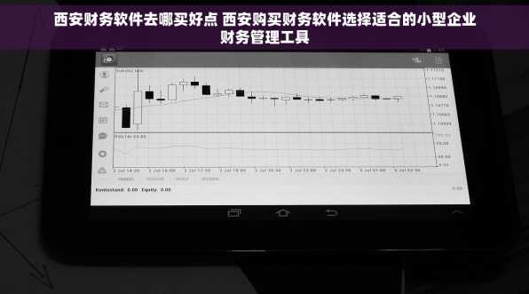 西安财务软件去哪买好点 西安购买财务软件选择适合的小型企业财务管理工具