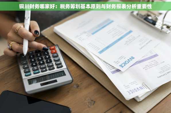 铜川财务哪家好：税务筹划基本原则与财务报表分析重要性