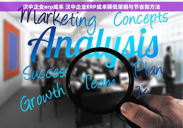 汉中企业erp成本 汉中企业ERP成本降低策略与节省新方法