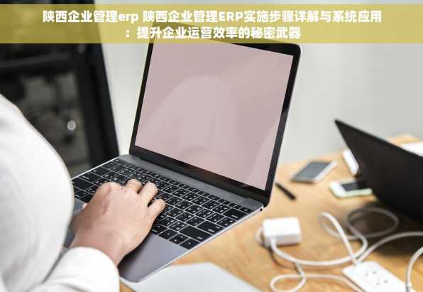 陕西企业管理erp 陕西企业管理ERP实施步骤详解与系统应用：提升企业运营效率的秘密武器