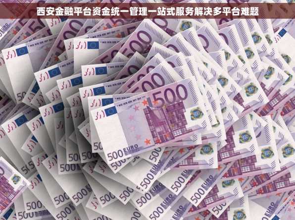 西安金融平台资金统一管理一站式服务解决多平台难题
