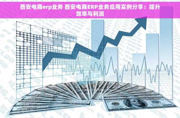 西安电商erp业务 西安电商ERP业务应用实例分享：提升效率与利润