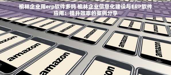 榆林企业用erp软件多吗 榆林企业信息化建设与ERP软件应用：提升效率的案例分享