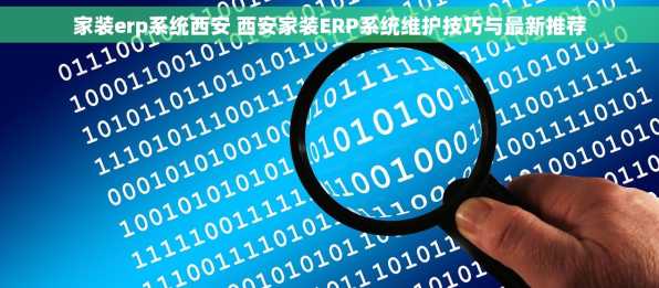 家装erp系统西安 西安家装ERP系统维护技巧与最新推荐