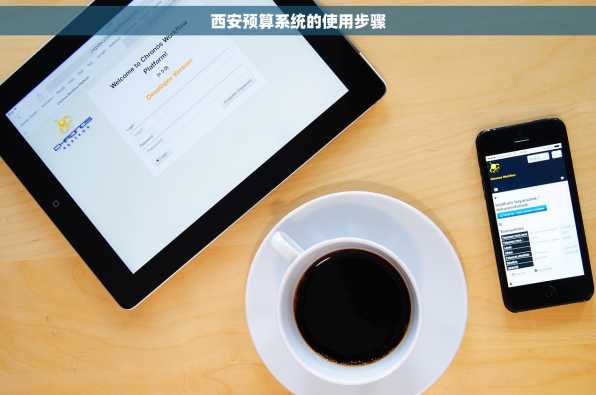 西安预算系统的使用步骤