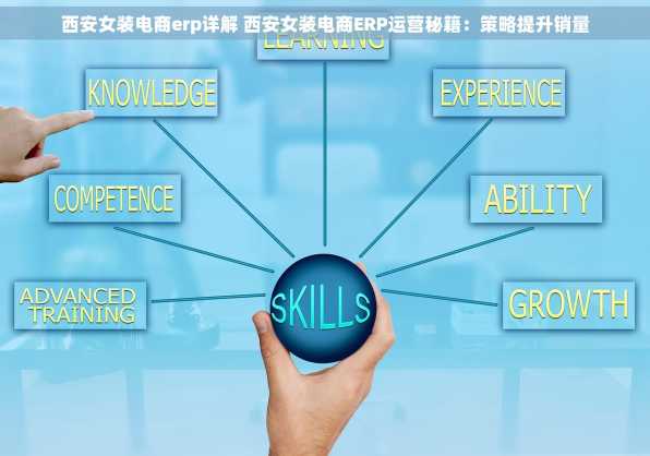 西安女装电商erp详解 西安女装电商ERP运营秘籍：策略提升销量