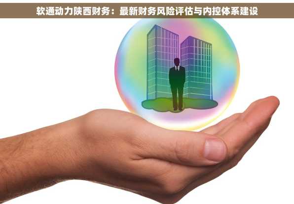 软通动力陕西财务：最新财务风险评估与内控体系建设