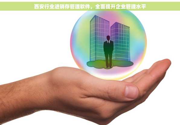 西安行业进销存管理软件，全面提升企业管理水平