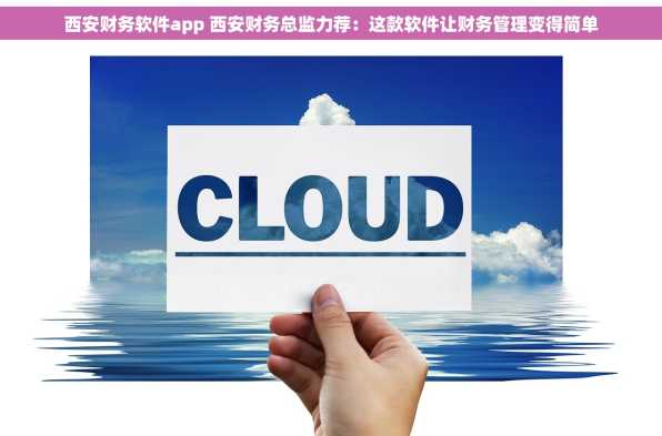 西安财务软件app 西安财务总监力荐：这款软件让财务管理变得简单