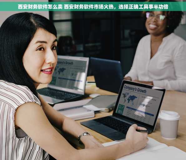西安财务软件怎么卖 西安财务软件市场火热，选择正确工具事半功倍