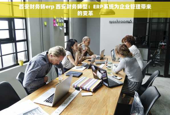 西安财务转erp 西安财务转型：ERP系统为企业管理带来的变革