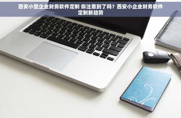 西安小型企业财务软件定制 你注意到了吗？西安小企业财务软件定制新趋势