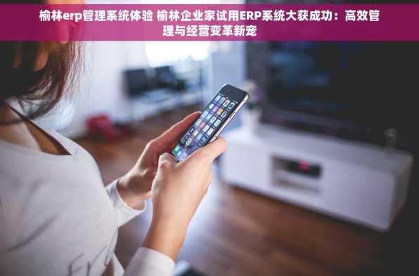榆林erp管理系统体验 榆林企业家试用ERP系统大获成功：高效管理与经营变革新宠