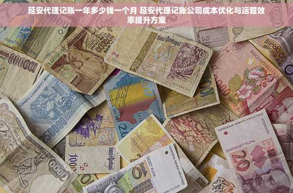 延安代理记账一年多少钱一个月 延安代理记账公司成本优化与运营效率提升方案