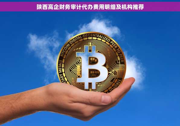 陕西高企财务审计代办费用明细及机构推荐